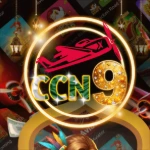 ccn9 game icon